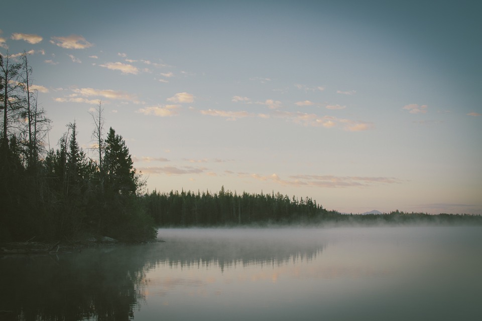 lake, mist, foggy