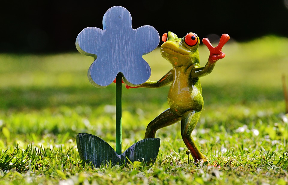 frog, flower, funny