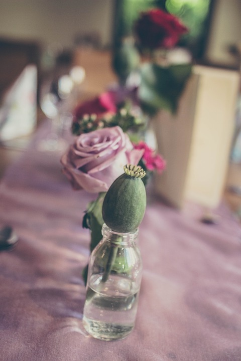 flower, rose, wedding