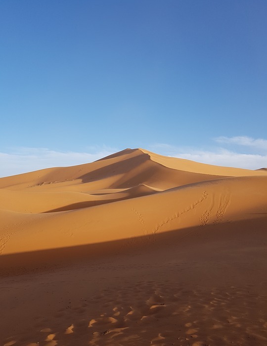 desert, sand, sand dune