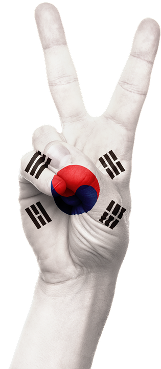 hand, south korea, flag