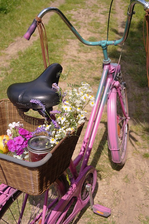 bike, picnic, bonanza