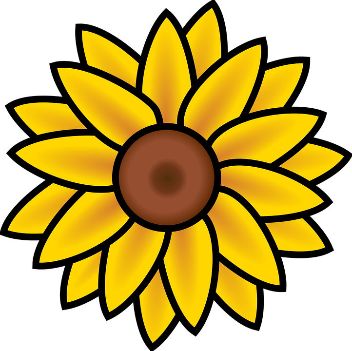 sunflower, summer, nature