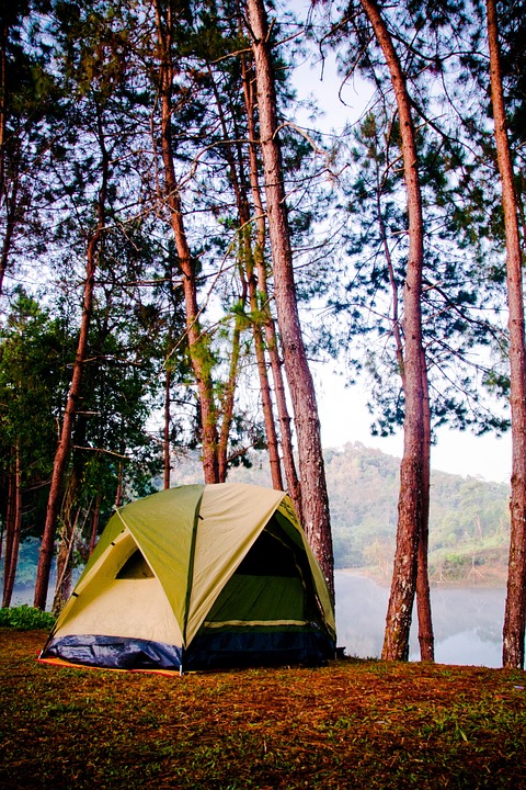 tent, camp, nature
