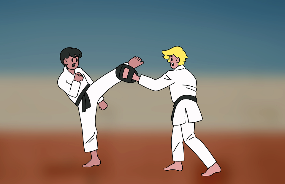 karate, martial arts, sparring