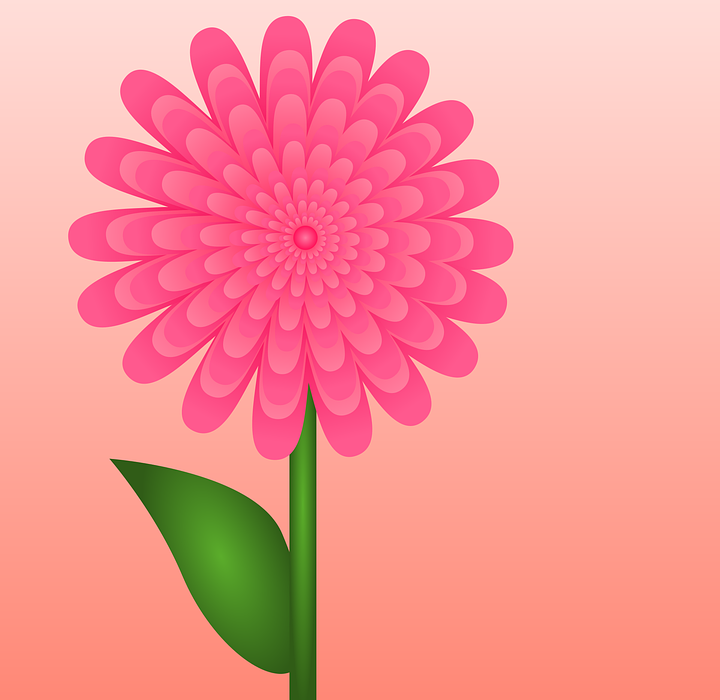 happy mothers day, flower, pink flower