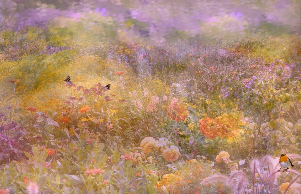 background, texture, flower meadow