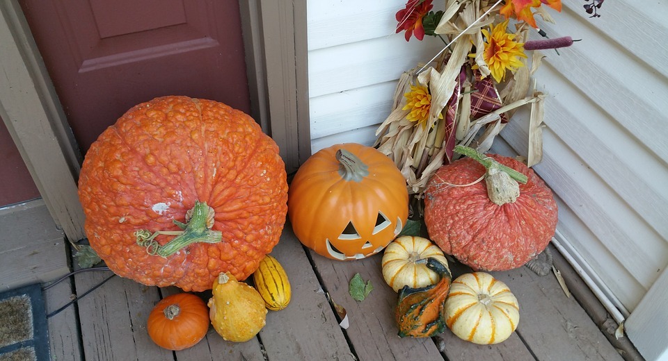 pumpkins, fall, autumn