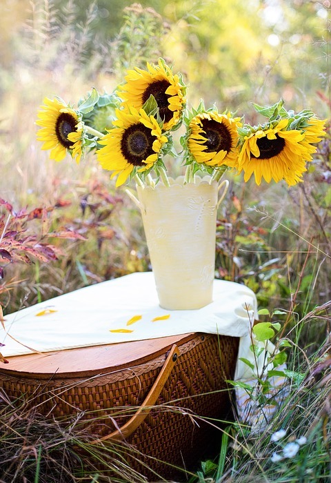 sunflowers, vase, fall