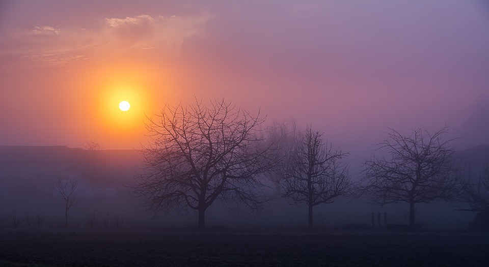 sunrise, morning, fog