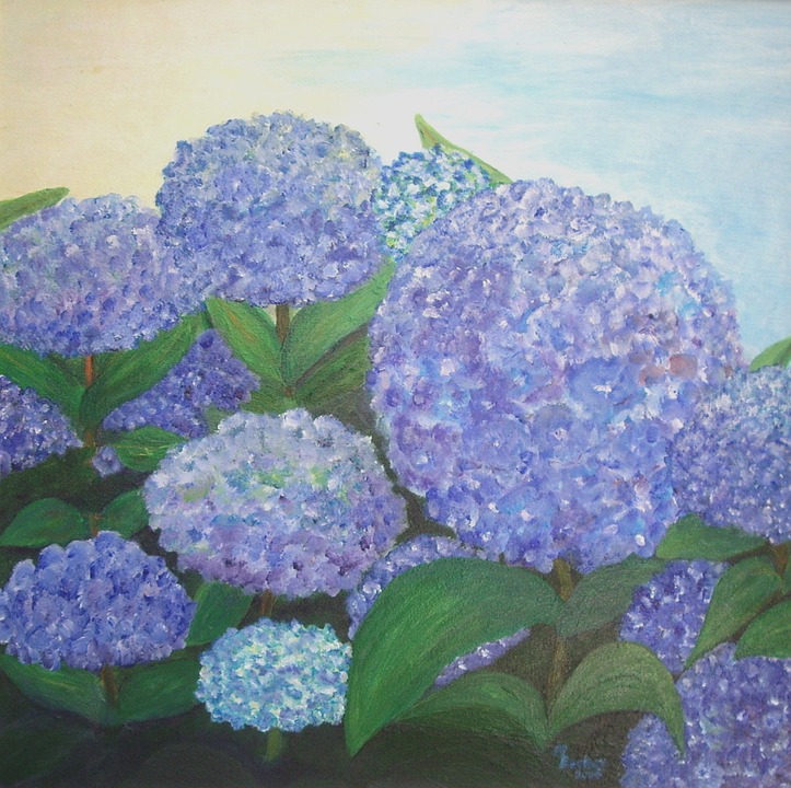 hydrangeas, blue, painting