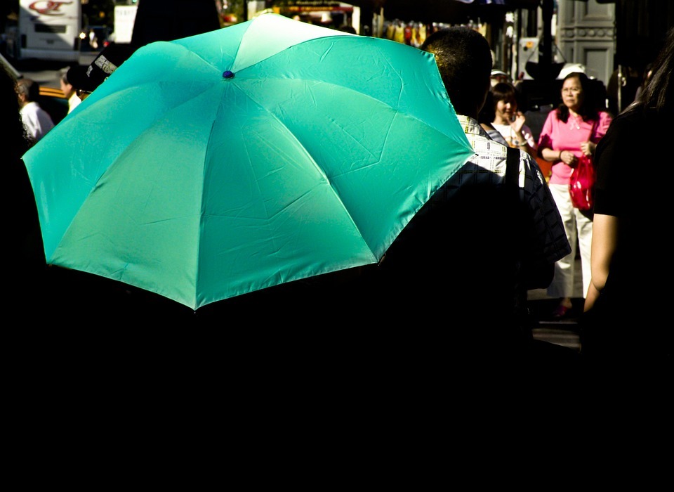 umbrella, rain cover, bumbershoot
