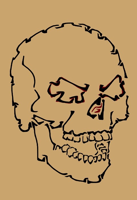 skull, angry, head