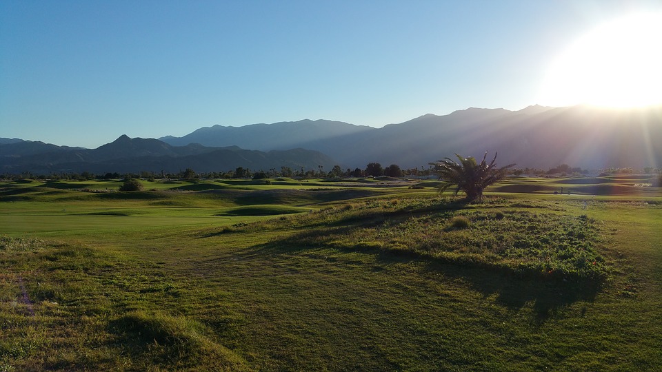 sunset, golf course, summer