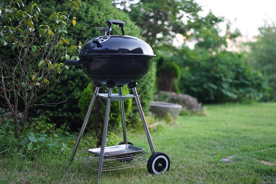 barbecues, grill, grass