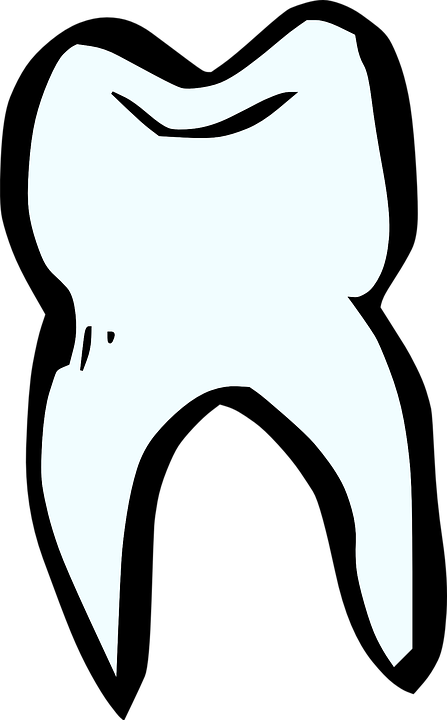 tooth, dentist, white
