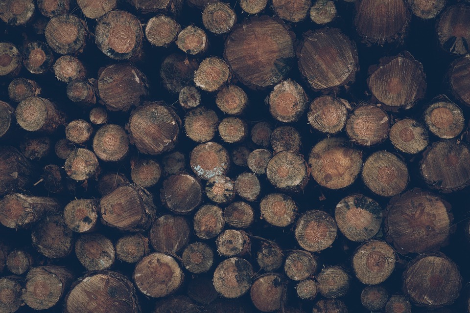 logs, timber, wood
