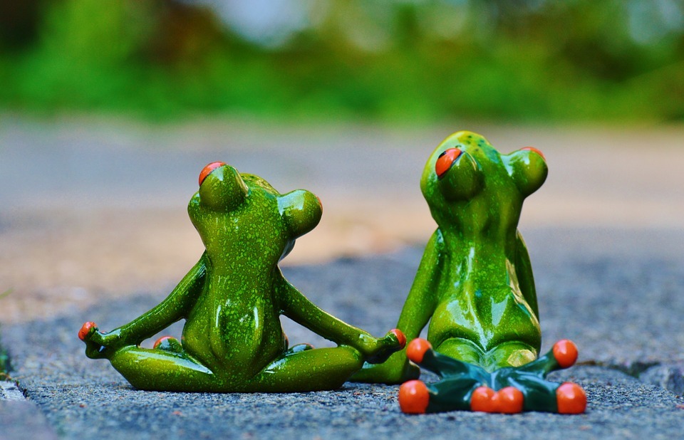 yoga, frogs, relaxed