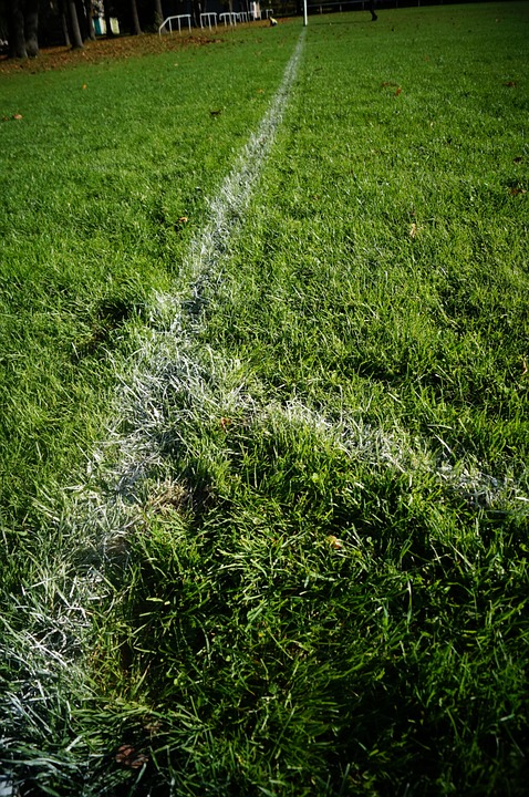 the pitch, the court lines, grass
