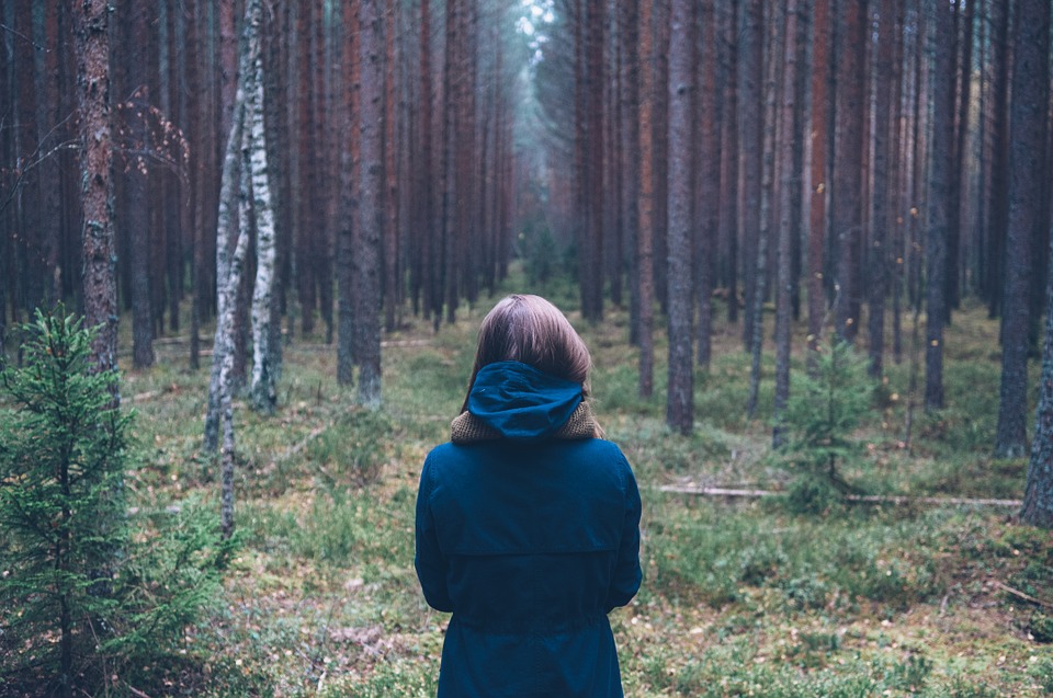 person, forest, outdoor