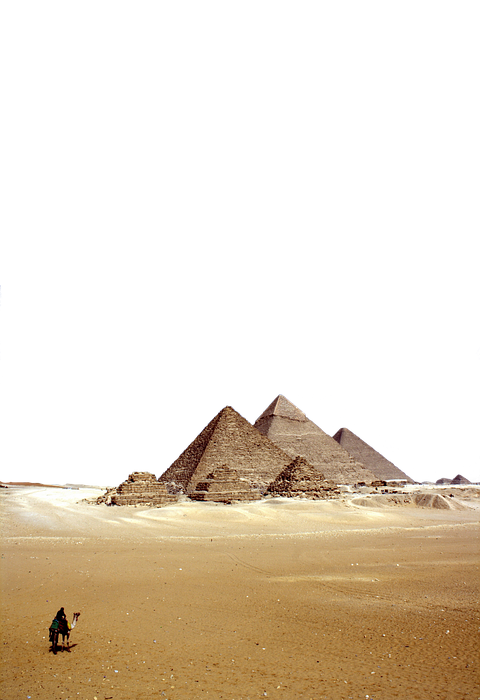 desert, pyramids, camel