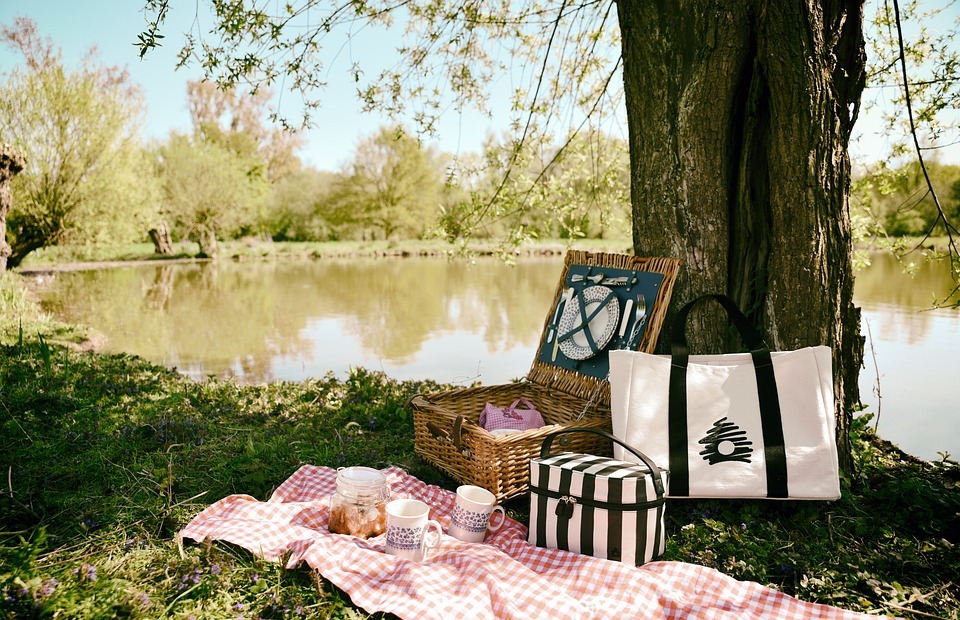 picnic, nature, lunch box