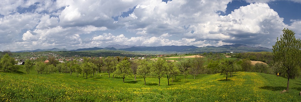 panorama, spring, landscape