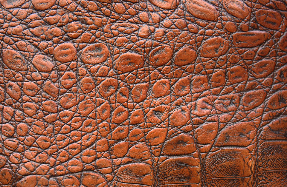 leather, skin, texture