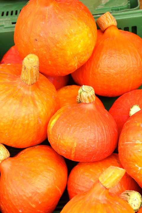 pumpkin, autumn, helloween