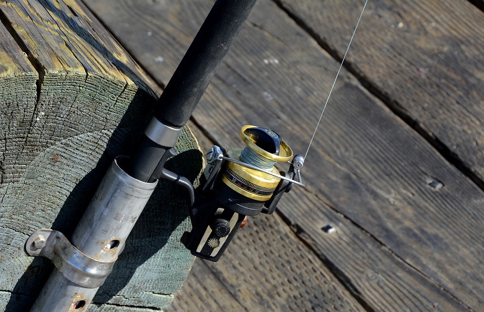 fishing reel, fish, fishing rod