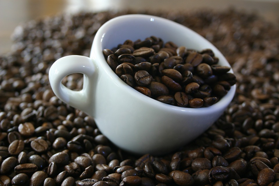 coffee, bean, cup