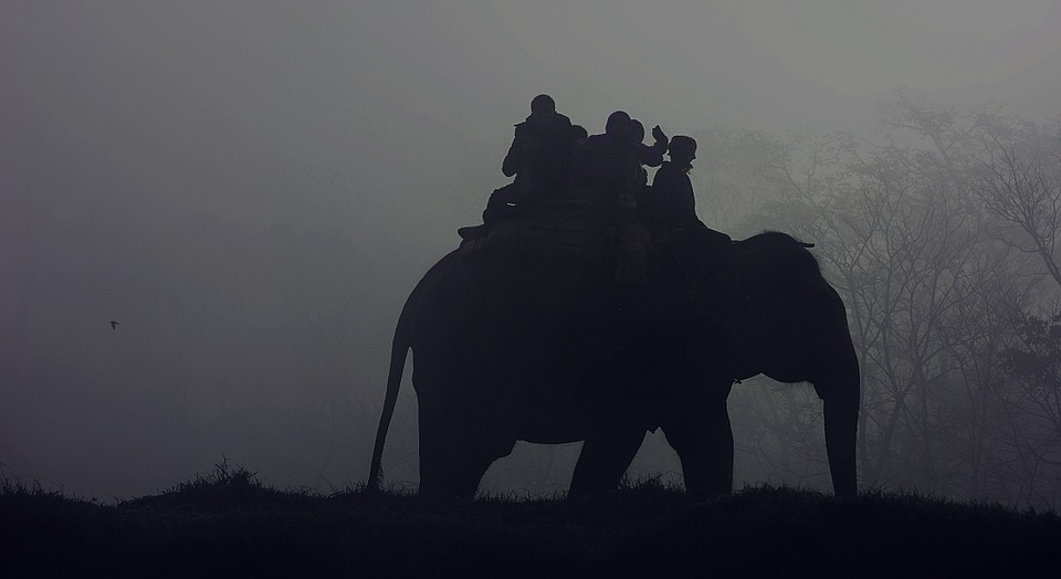 elephant, silhouette, people