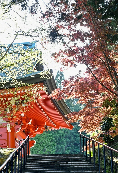 temple, shrine, japan