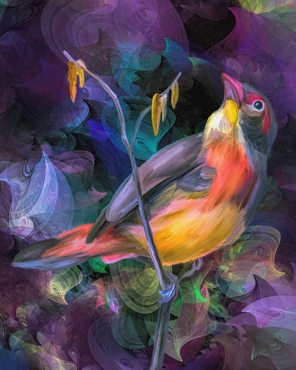backdrop, colorful, bird