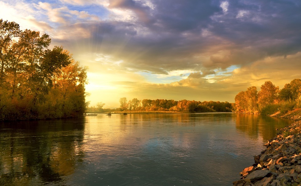 river, autumn, trees