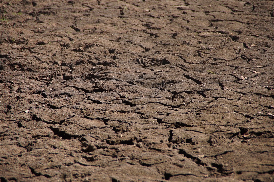 earth, ground, dehydrated