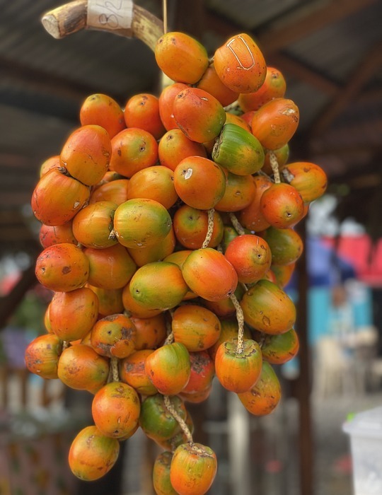peach palm, organic, market