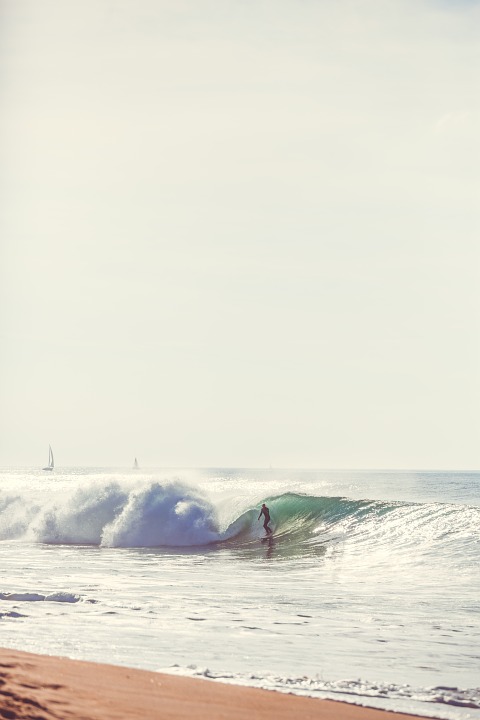 beach, wave, surfer