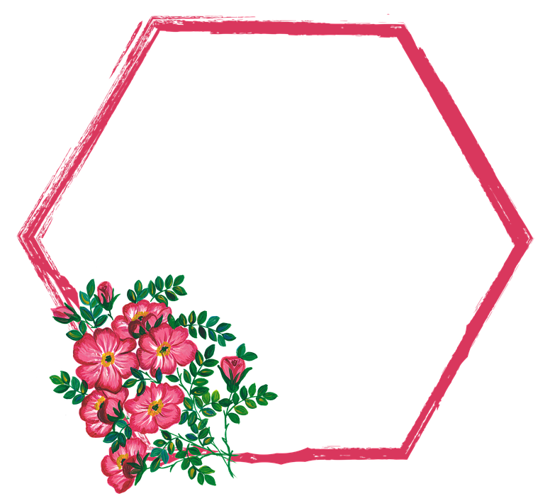 roses, flowers, border
