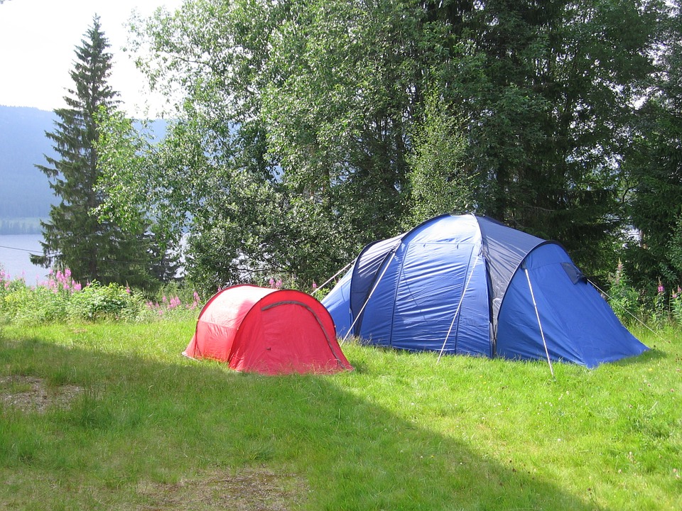 tent, summer, camping
