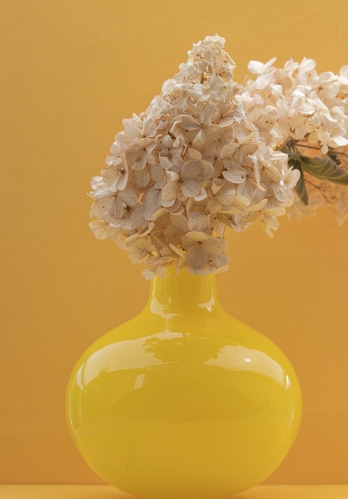 hydrangea, flowers, vase