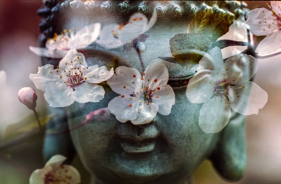 buddha, flower, buddhism