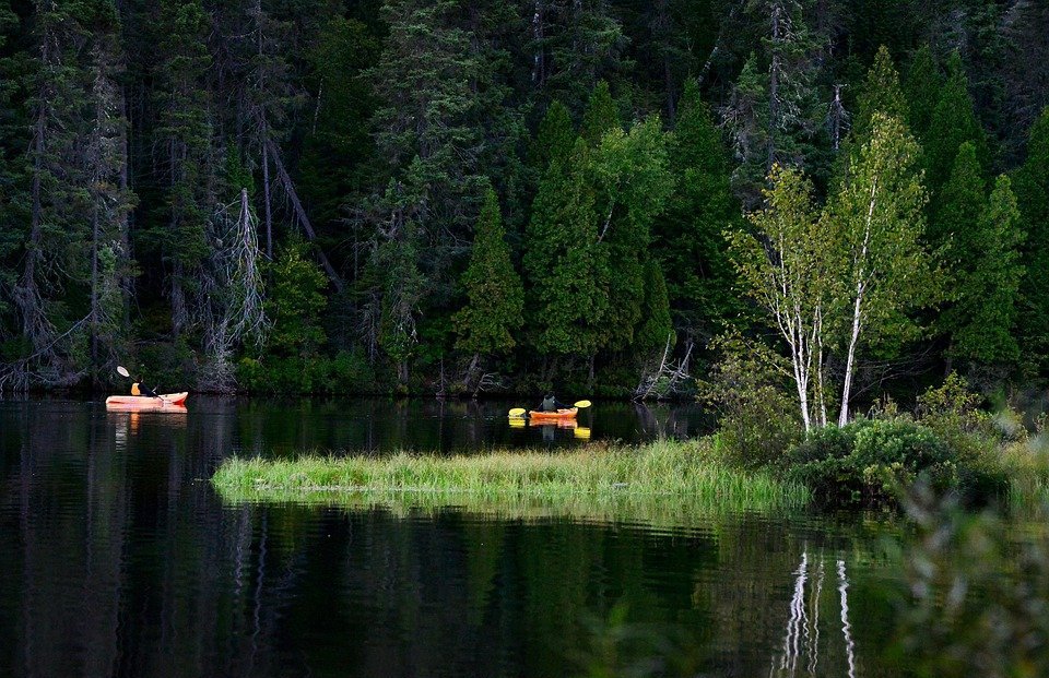 kayak, lake, trees