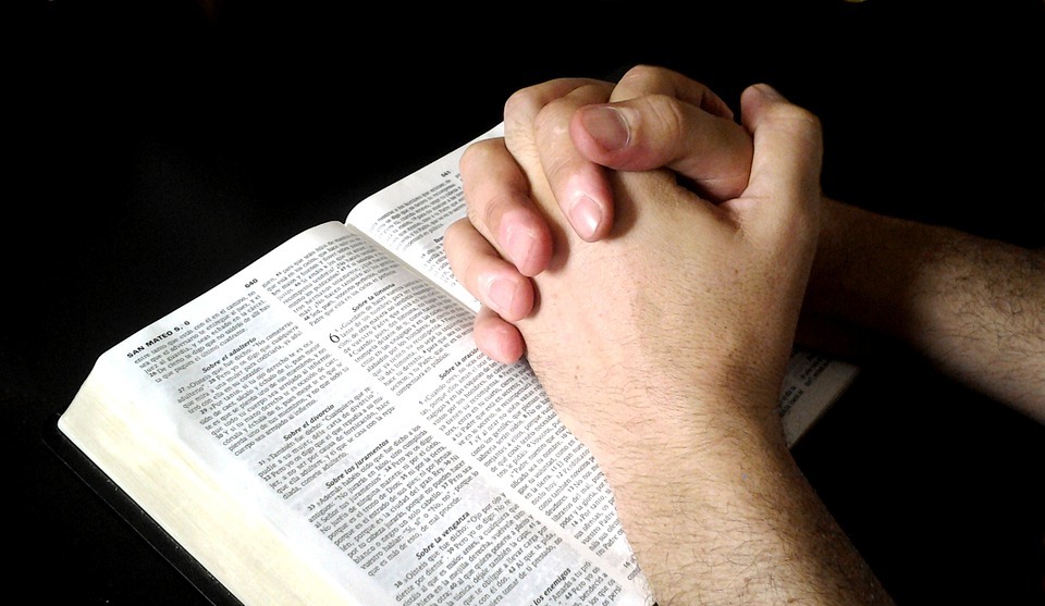holding hands, prayer, bible