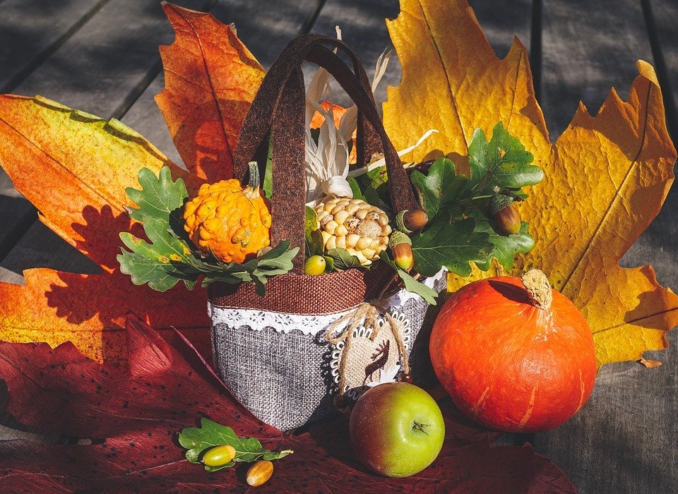 autumn, autumn decoration, thanksgiving
