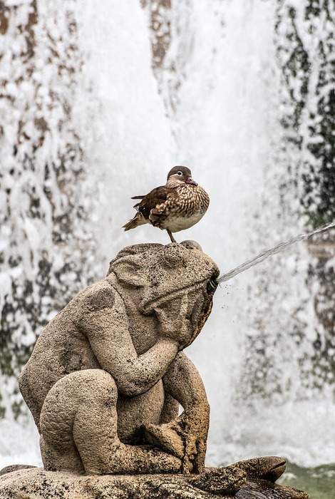 fountain, statue, frog