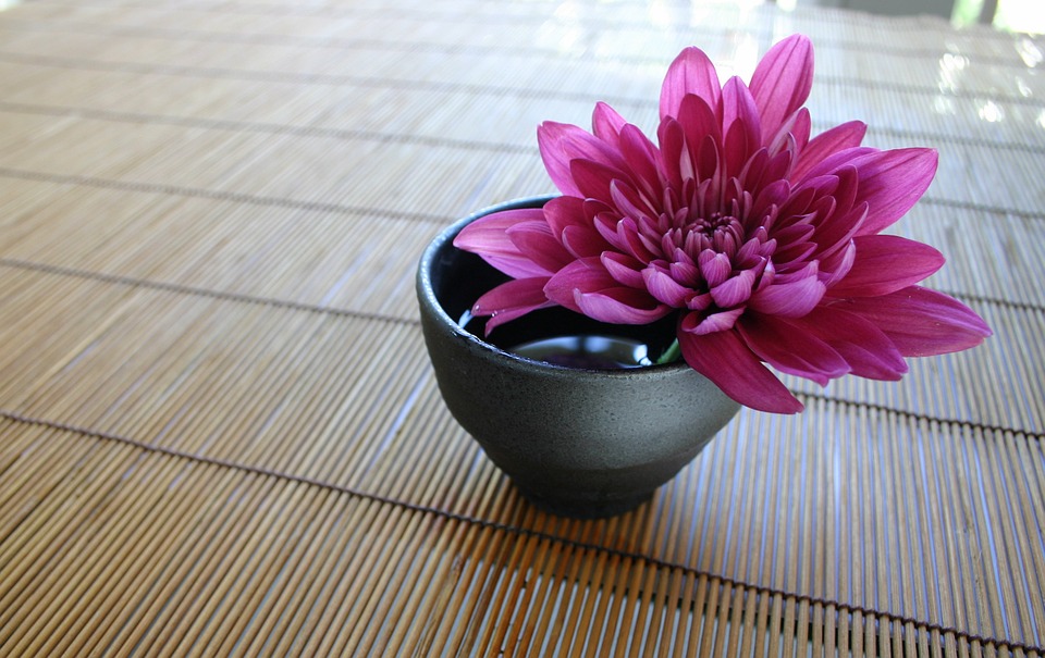 chrysanthemum, the bamboo curtain, japanese