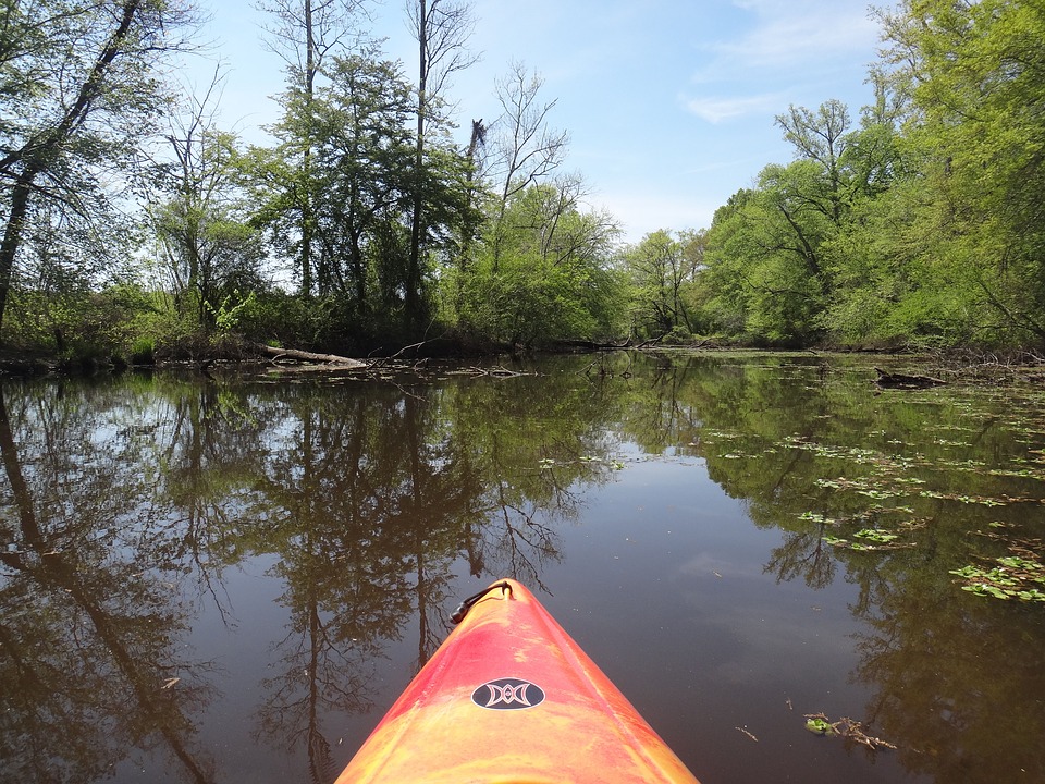 river, kayak, nature