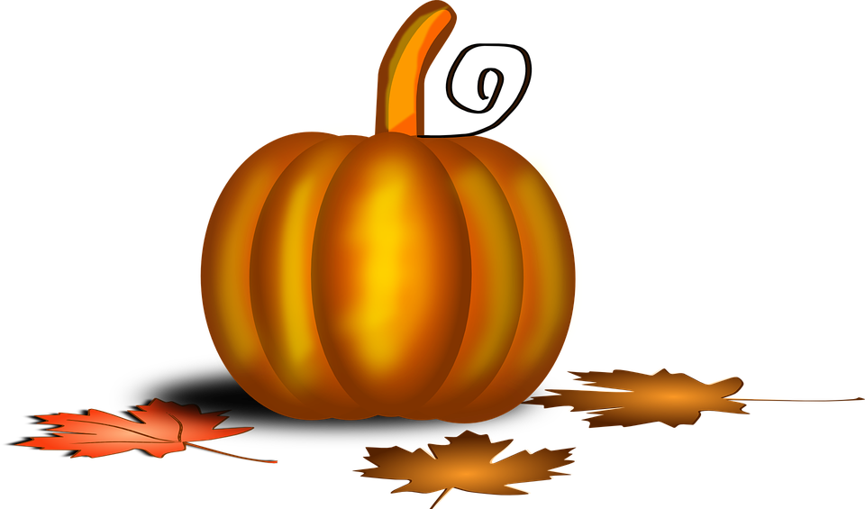 pumpkin, thanksgiving, foliage