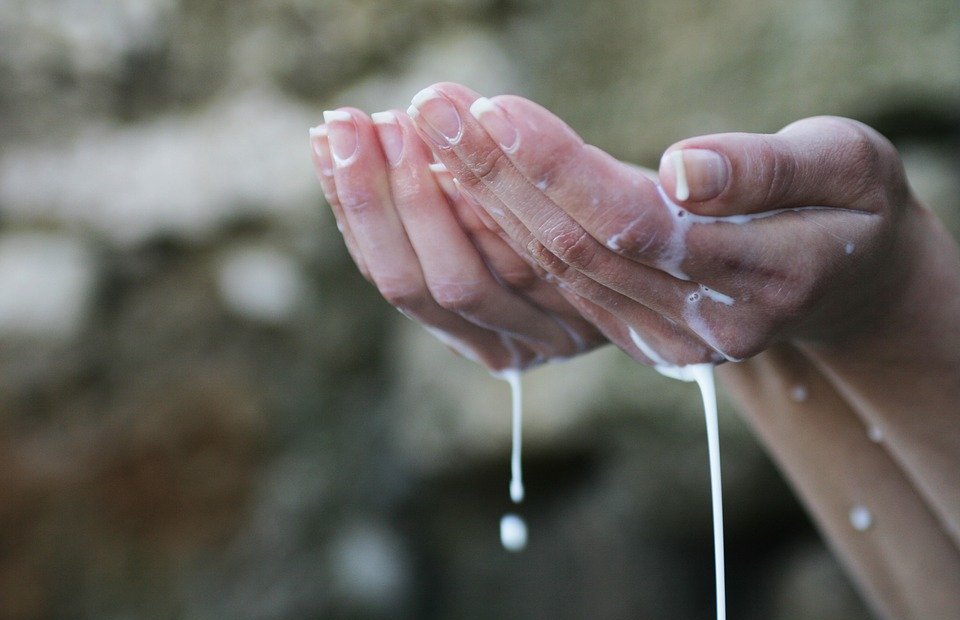 hands, prayer, milk